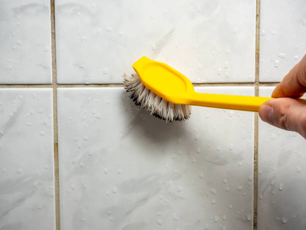 Best Mold Testing  in Sterlington, LA