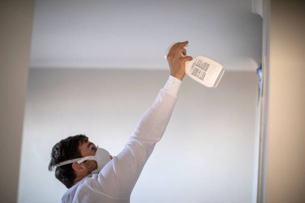 Best Mold Damage Repair  in Sterlington, LA